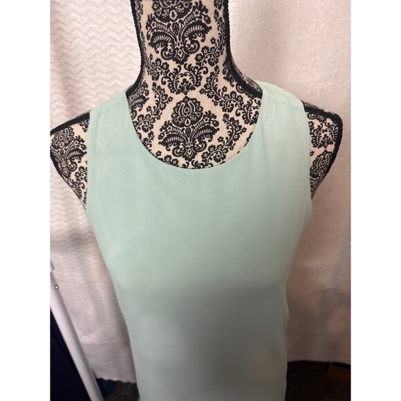 BN #15 NWT Naked Zebra Sleeveless Mint Green Shift Dress Size S - Picture 3 of 6